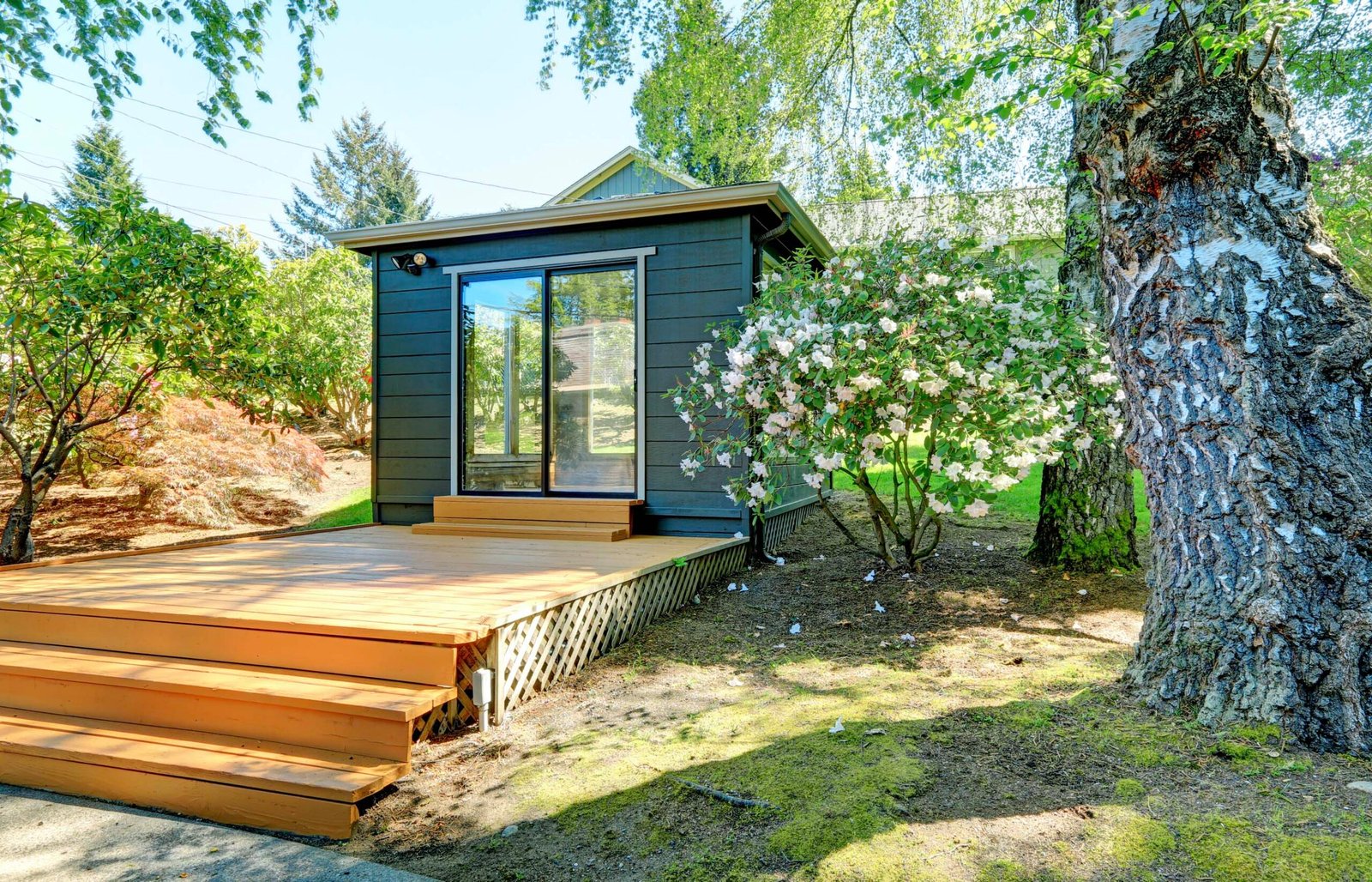 Natural cedar timber garden pod with raised deck and wide steps surrounded by trees in Sussex